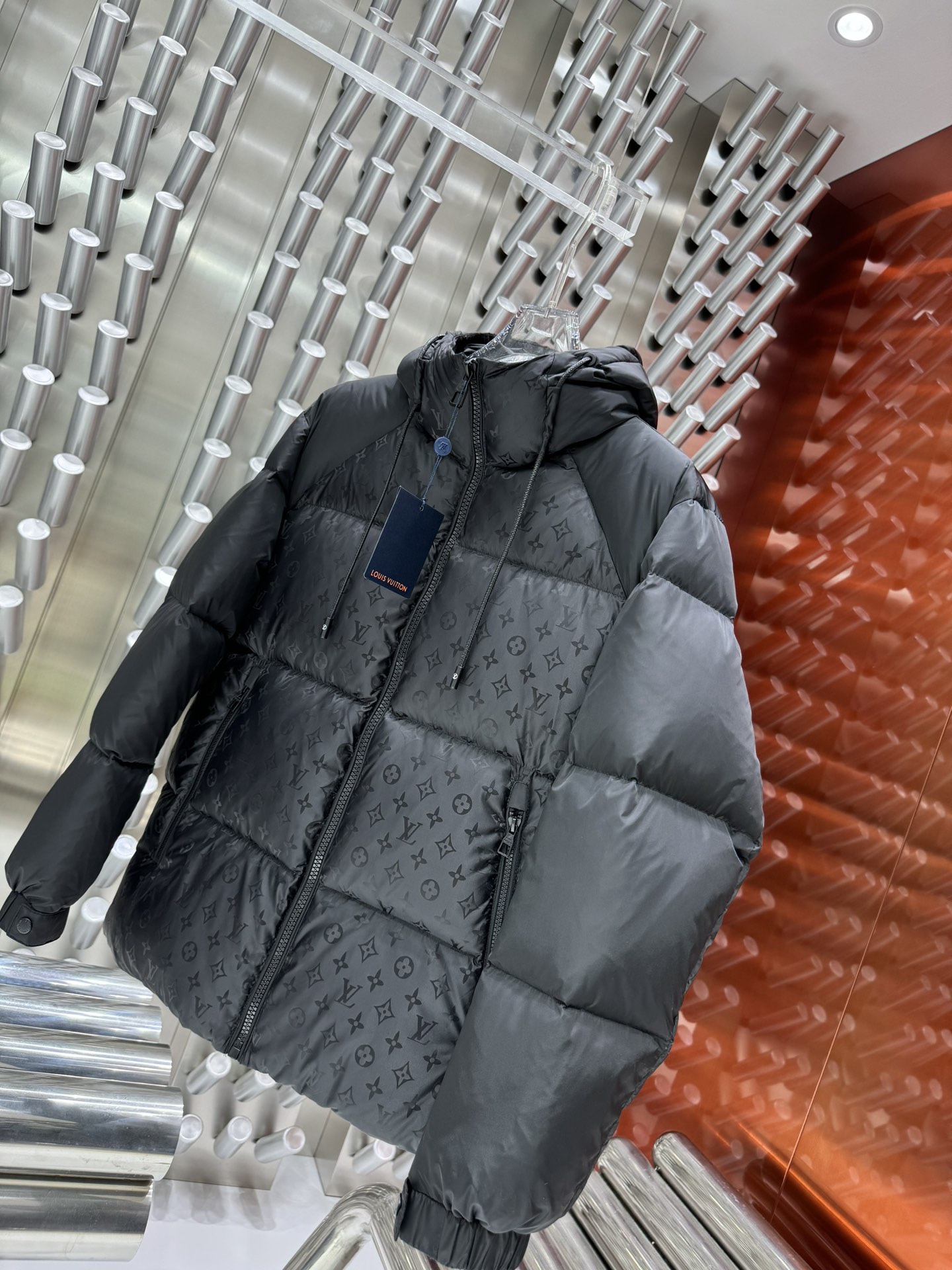 Louis Vuitton Down Jackets